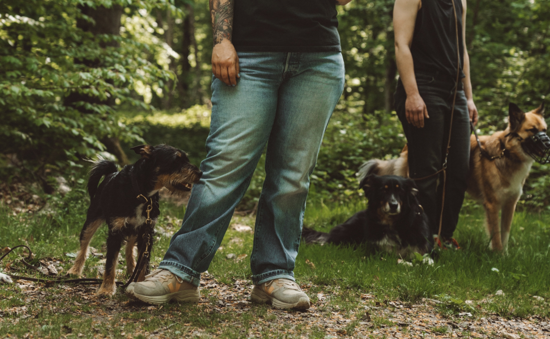 Reiß dich mal zusammen 