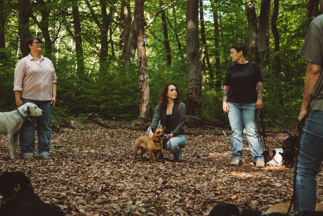 Hundebegegnungskurs 4 Wochen