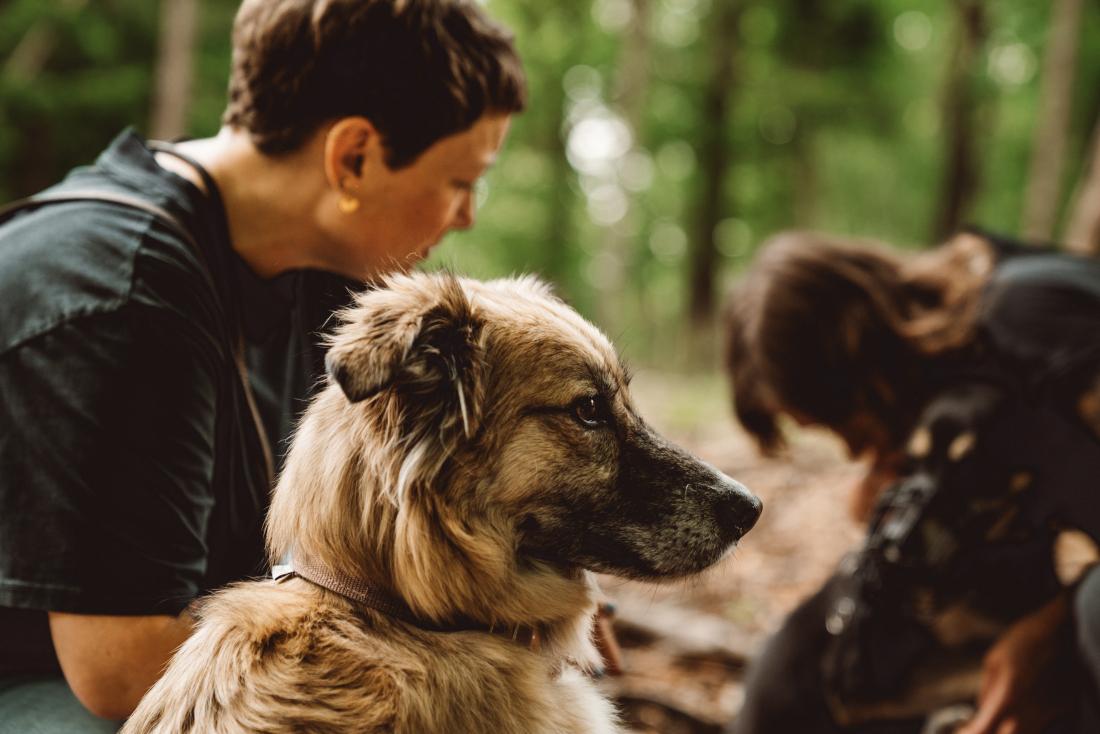 Sozialkontakrkurs Mix - für kleine, große und alle dazwischen 